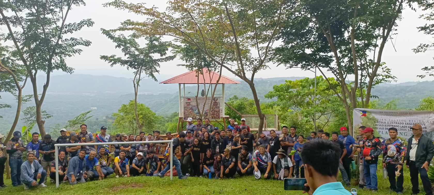 Tree planting activity